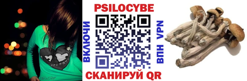 Галлюциногенные грибы мицелий  blacksprut вход  Приволжск  наркота 